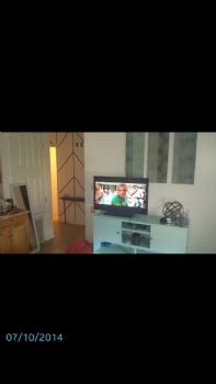 mollyhoff profile photo