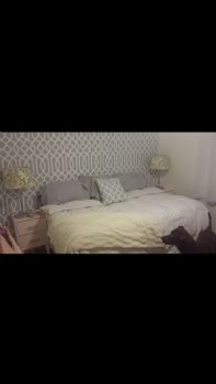 mollyhoff profile photo