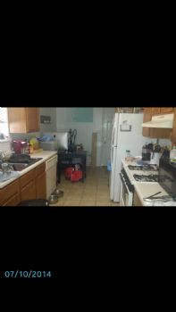 mollyhoff profile photo