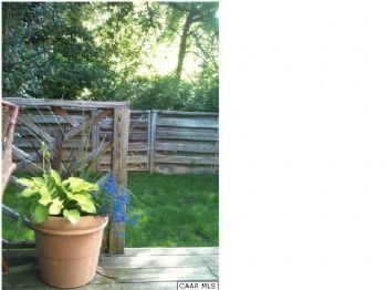 djallenk profile photo