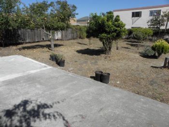 990sublease@ profile photo