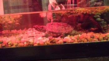 sjkidd26 profile photo