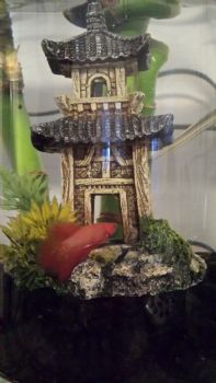 sjkidd26 profile photo