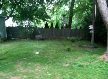 sms9296 profile photo