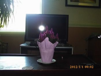 jen3900 profile photo