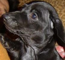 SEB1215 profile photo