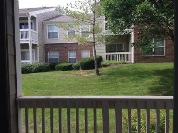 F150Lvr23 profile photo