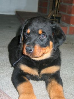 heygrneyz profile photo