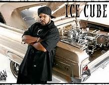 D84wise profile photo