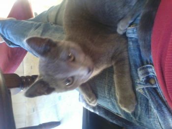 manda1988 profile photo