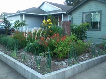 thankful profile photo