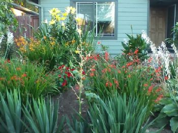 thankful profile photo