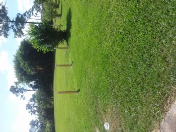 jfreemg profile photo