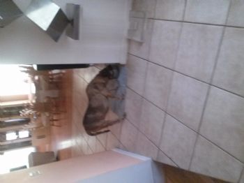 jfreemg profile photo