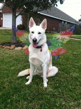 kelseykelso9 profile photo