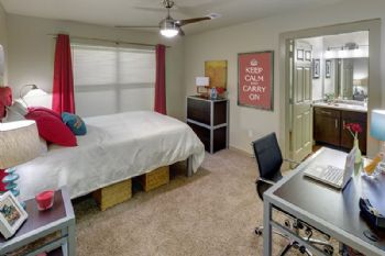 maddieseaton profile photo