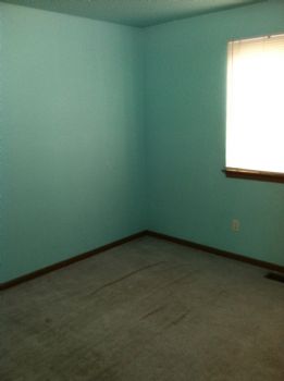 msscooter profile photo