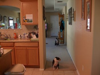 KinseyC profile photo