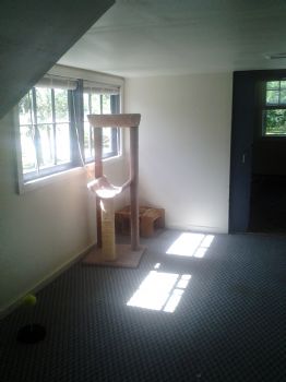 Kisstress profile photo