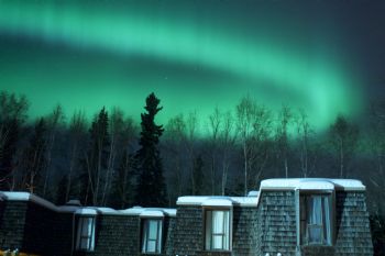 Qingping profile photo