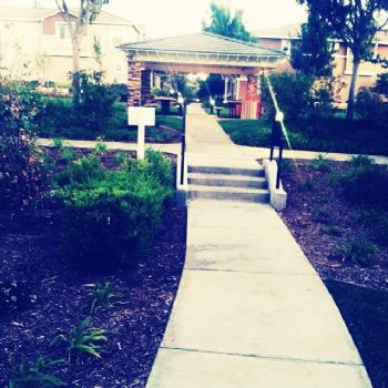 mscute16 profile photo