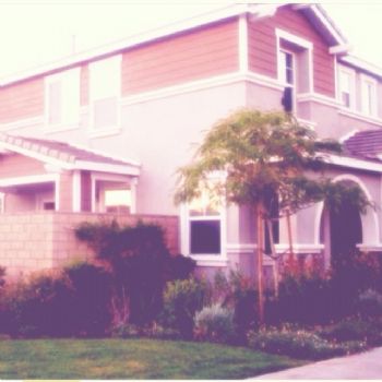 mscute16 profile photo