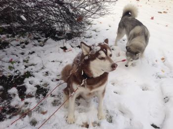 Rowanne profile photo