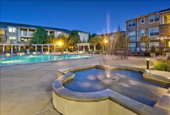 Team Mochi profile photo