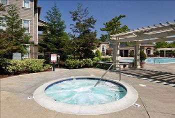 Team Mochi profile photo