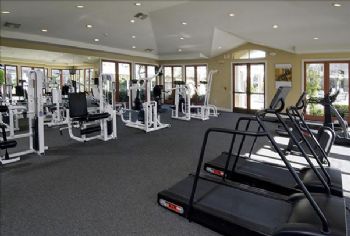 Team Mochi profile photo