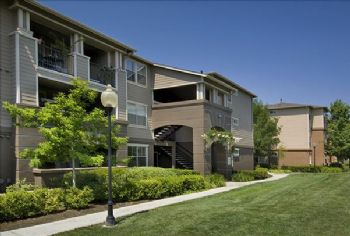 Team Mochi profile photo