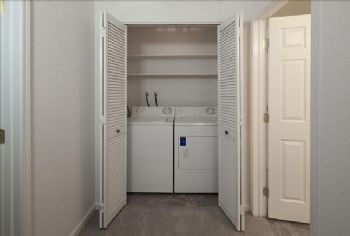 Team Mochi profile photo