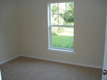 NPR_Pirate profile photo