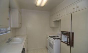 dlapid profile photo