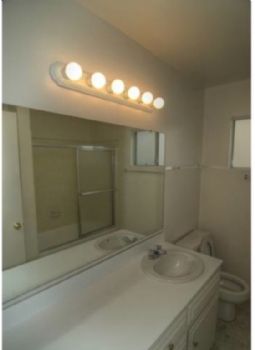 dlapid profile photo