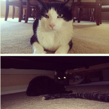 MDD1991 profile photo