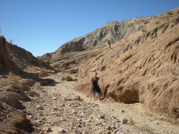 sarzy01 profile photo