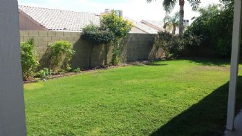 Zetham profile photo