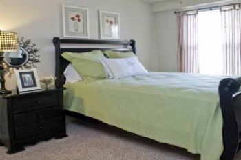 mara786 profile photo