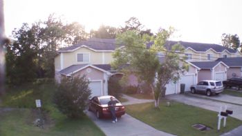 Mandrake981 profile photo