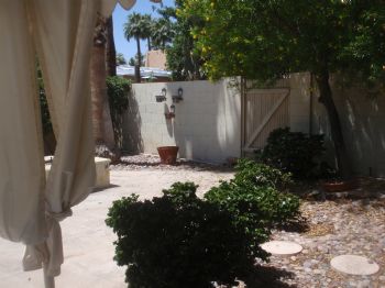 pspring profile photo