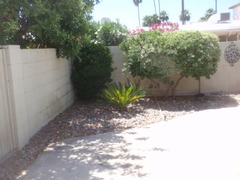 pspring profile photo