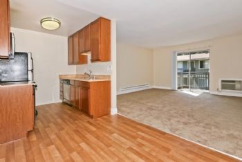 akshayn profile photo