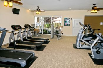 akshayn profile photo