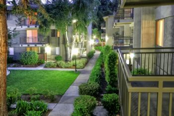 akshayn profile photo