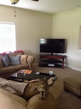 krk06e profile photo