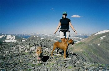 krisalewis profile photo