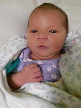 ChrisHolguin profile photo