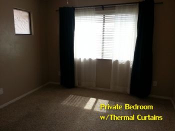 TinyBulldog profile photo