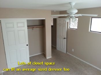 TinyBulldog profile photo